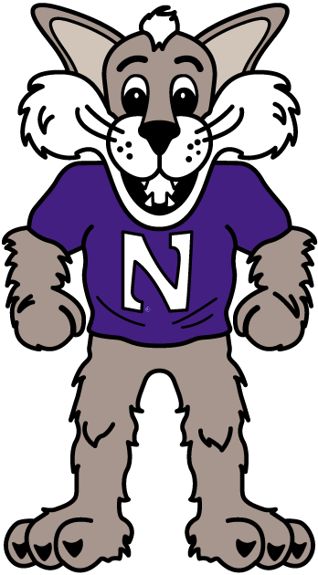Northwestern Wildcats 1998-Pres Mascot Logo iron on transfers for T-shirts